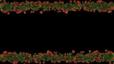 Rose-flower-Horizontal-seamless-repeat-border-with-alpha-channel-transparent-background